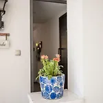 Panmari